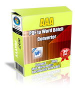 AAA PDF to Word Converter